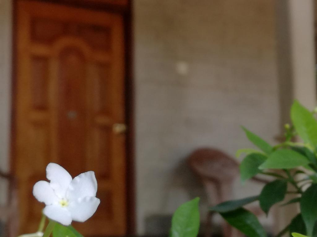 Gabaa Resort & Spa - Habarana Zewnętrze zdjęcie